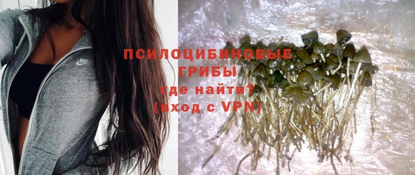 mdpv Бронницы