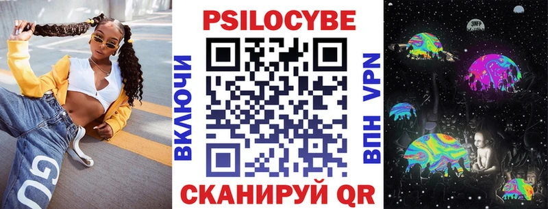Купить где  Хвалынск  Псилоцибиновые грибы мицелий 